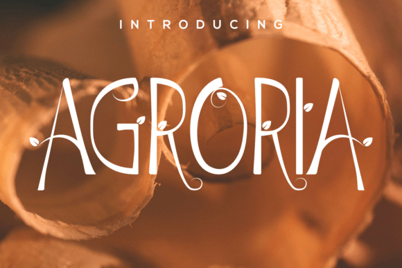 Agroria: A Stylish Display Font for Modern Branding