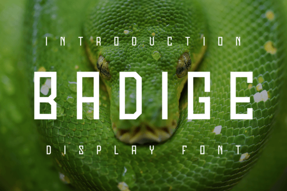 Badige: A Modern Font for Polished Branding
