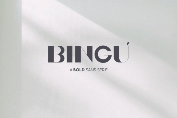 Bingu: A Cool Display Font for Creative Branding