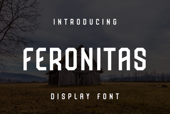 Feronitas: The Display Font That Elevates Your Campaigns