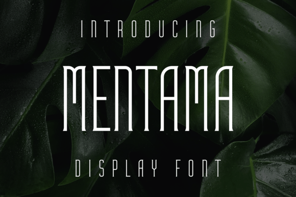 Mentama Font for Campaign Creatives