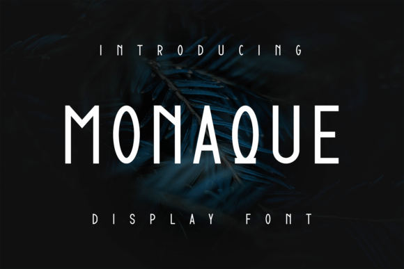 Monaque: A Cool Display Font for Small Business Branding