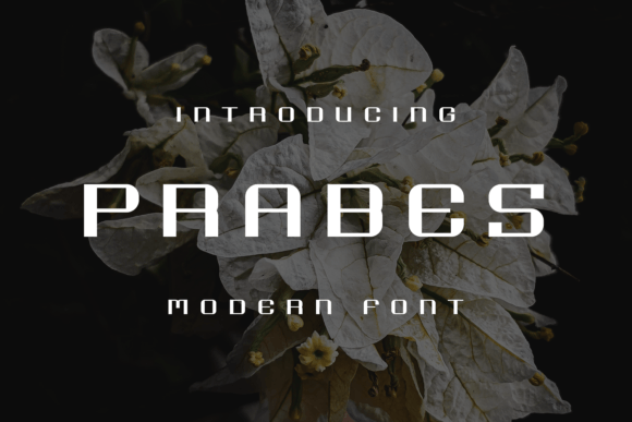 Prabes: A Display Font That Elevates Campaign Creativity