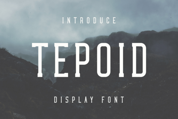 Tepoid: A Cool Display Font for Small Business Branding