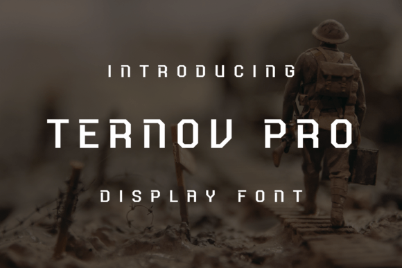 Ternov Pro Display Font for Web Design
